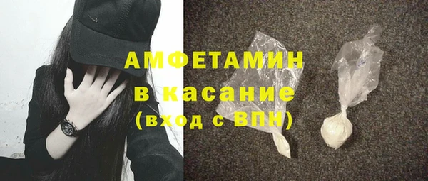 шишки Аркадак
