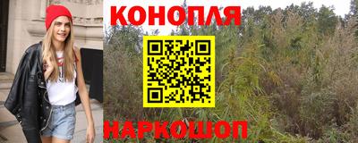 индика Волжск