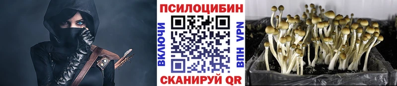 Галлюциногенные грибы Magic Shrooms  Камень-на-Оби 