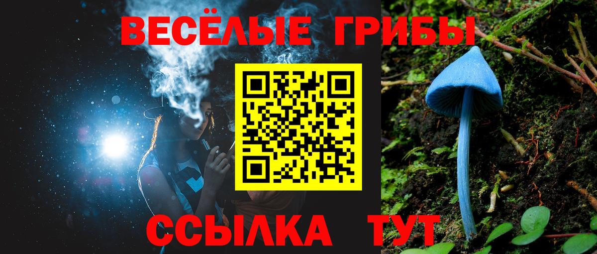 Галлюциногенные грибы мухоморы  Вход с VPN  Камень-на-Оби  Галлюциногенные грибы Psilocybine cubensis 