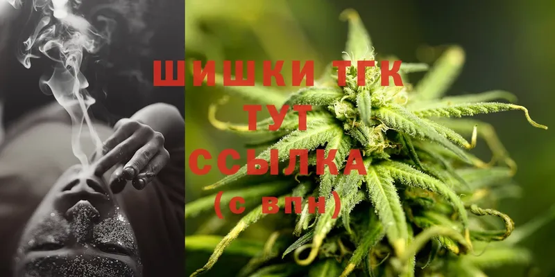 купить закладку  Камень-на-Оби  Шишки марихуана SATIVA & INDICA 